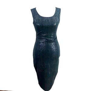 Curvy Metallic Metal Colored Dress